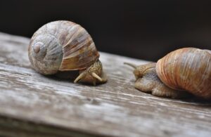 離婚について話し合うことが円満解決の鍵になる理由は？